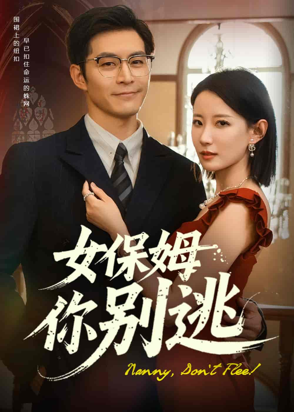 女保姆你别逃海报