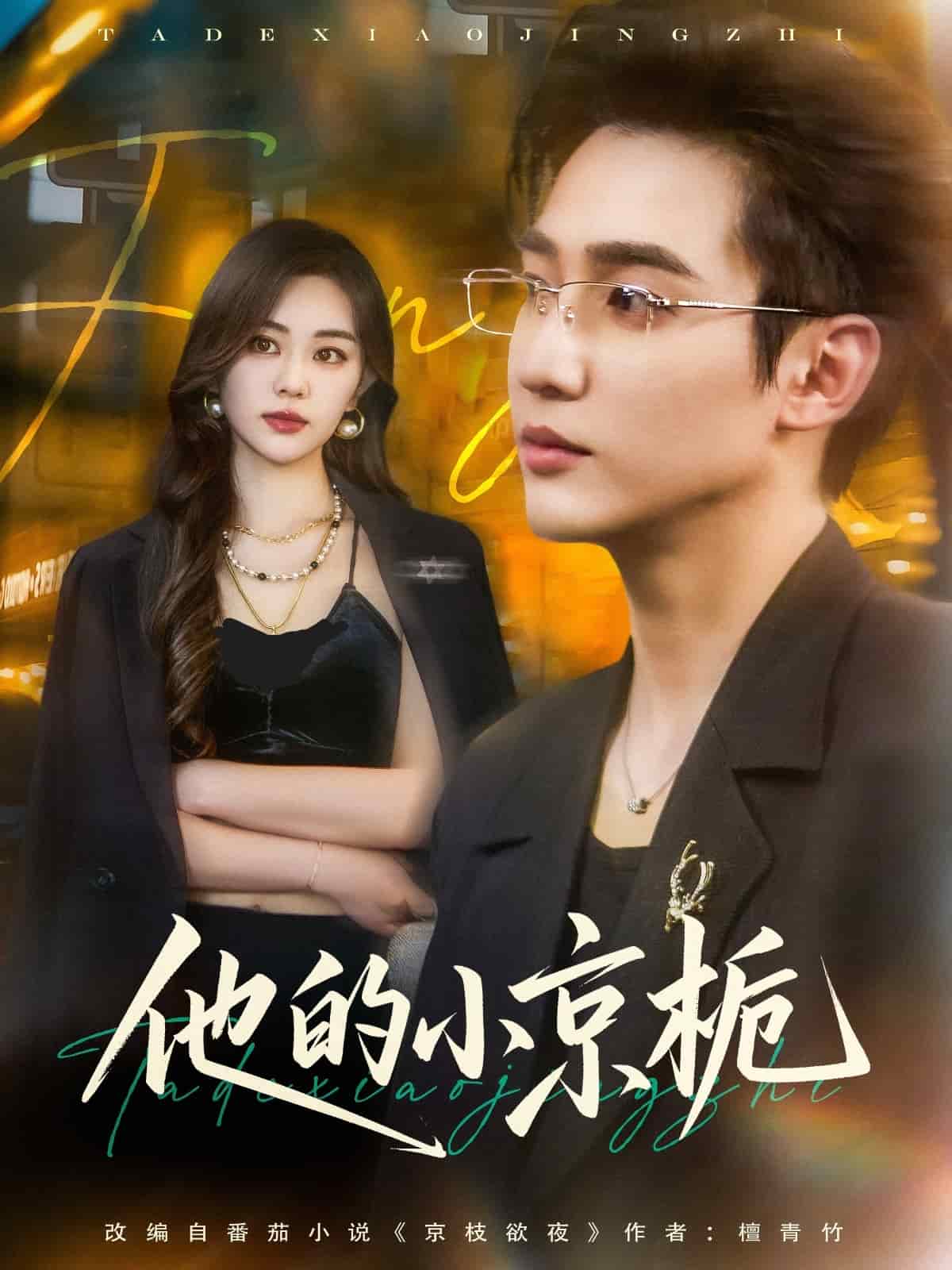 他的小京栀海报