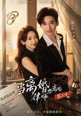 当离婚律师想离婚第二季海报