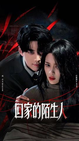 回家的陌生人海报