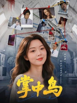 掌中鸟海报