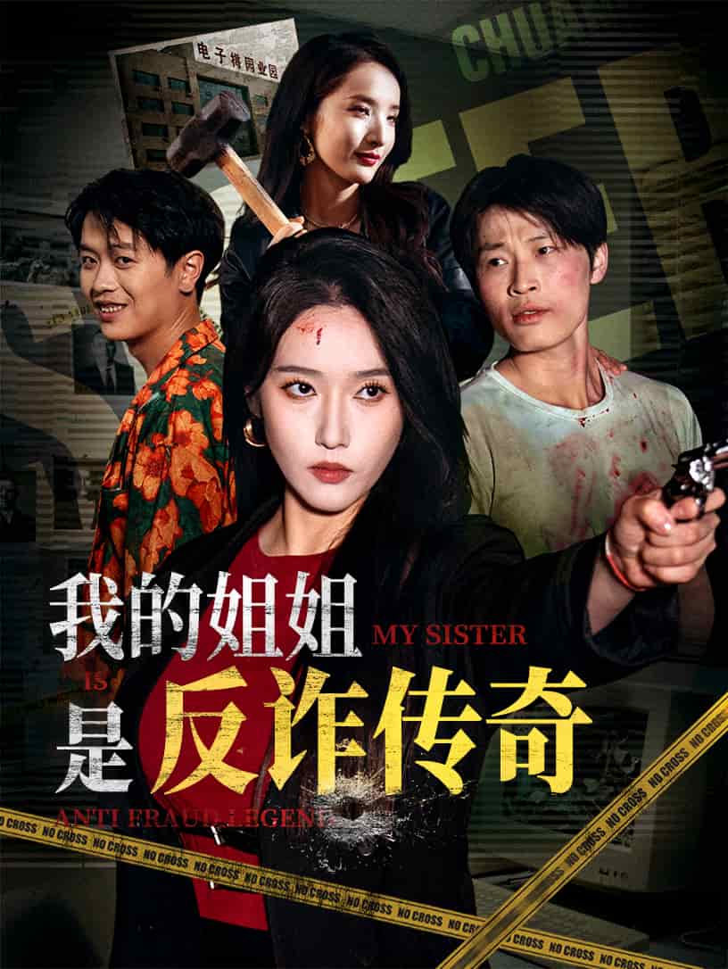 我的姐姐是反诈传奇海报