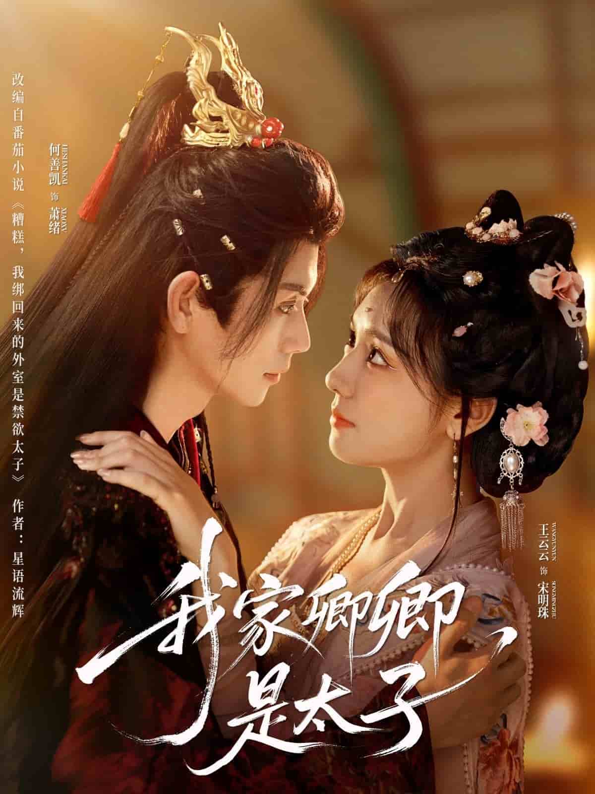 我家卿卿是太子海报