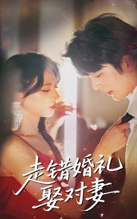 走错婚礼娶对妻海报