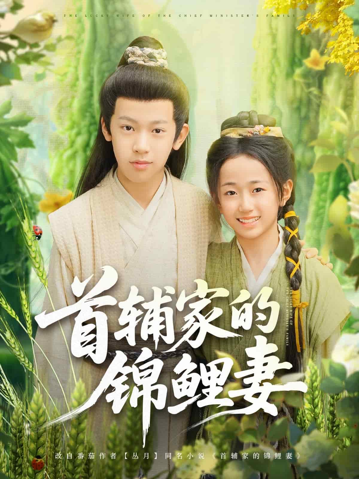 首辅家的锦鲤妻海报