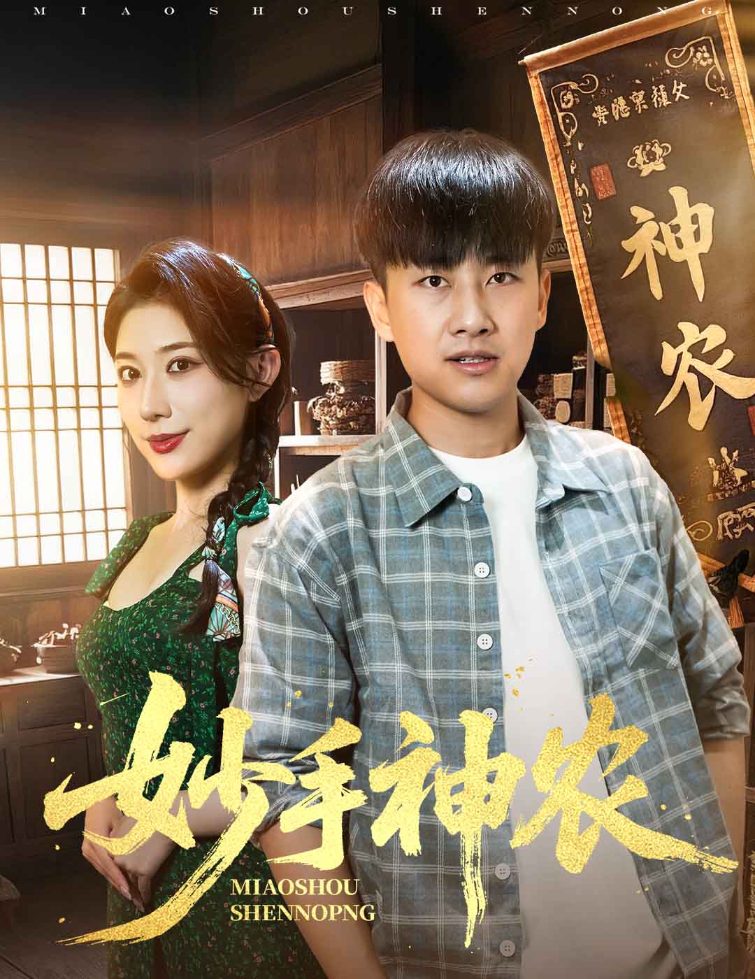 妙手神农海报