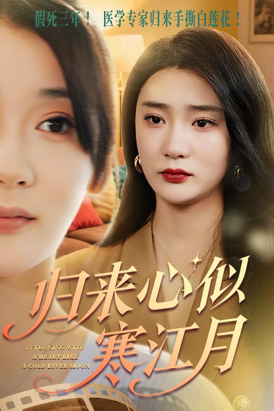 归来心似寒江月海报