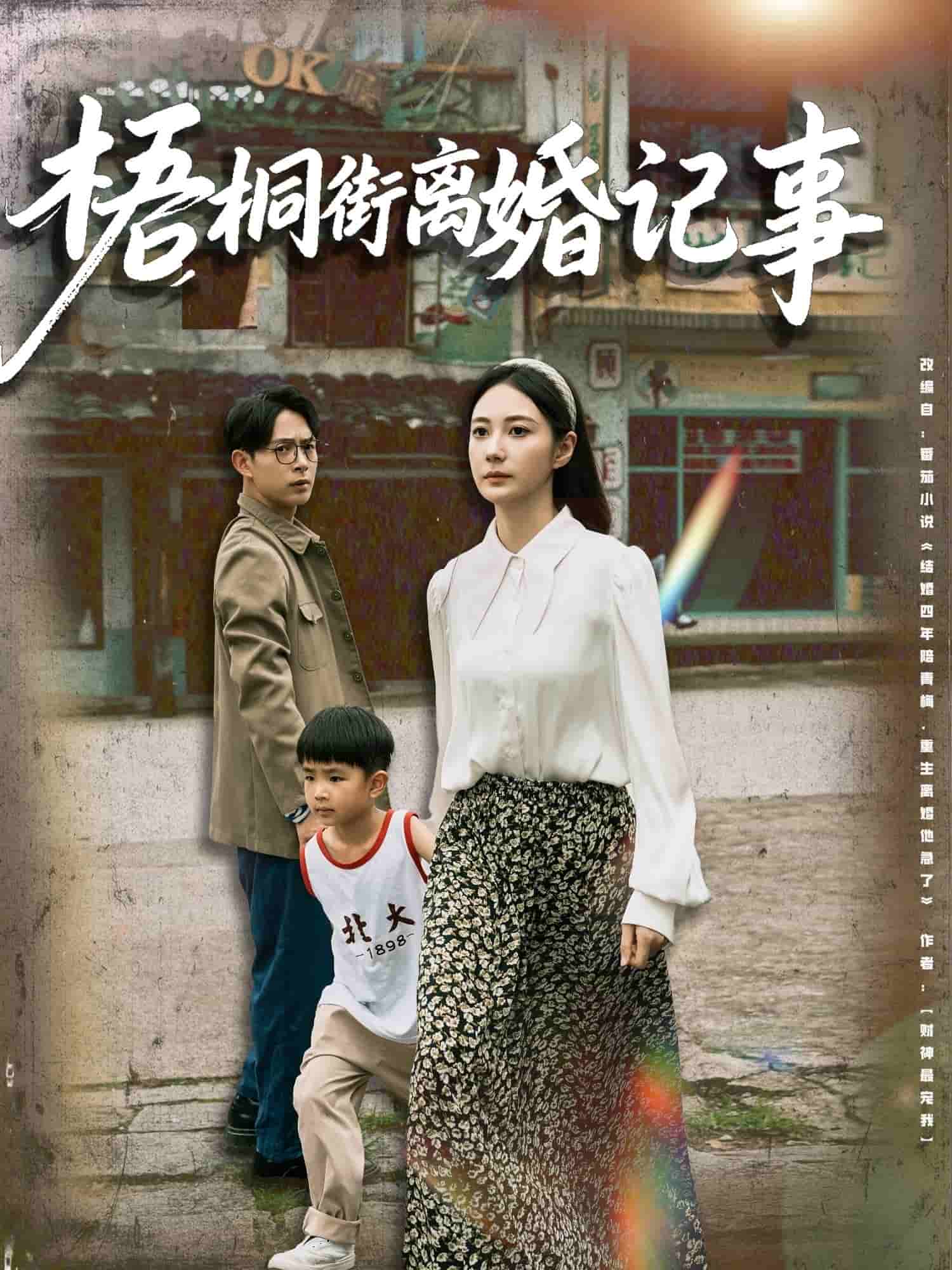 梧桐街离婚记事海报