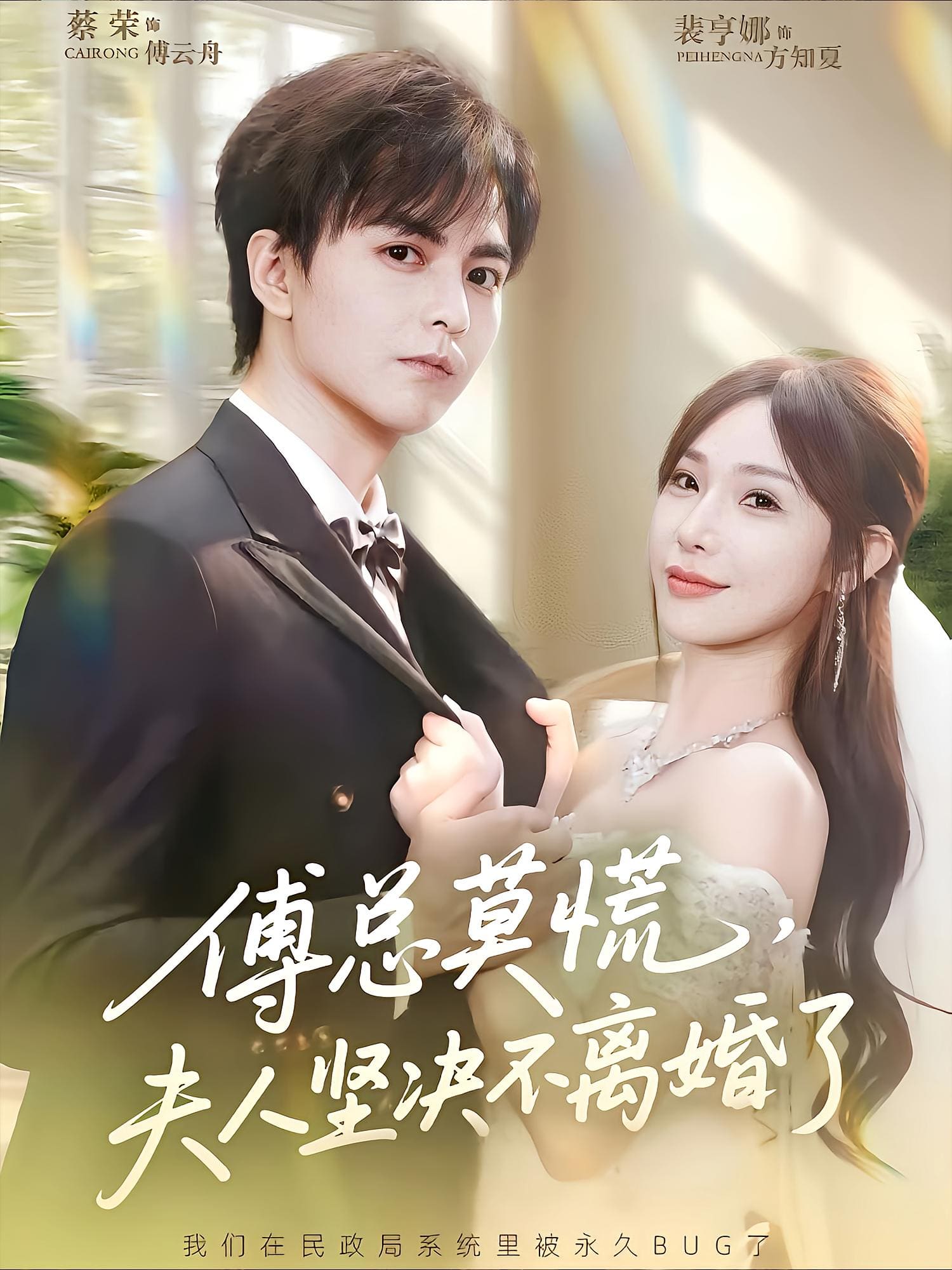 傅总莫慌夫人坚决不离婚了海报
