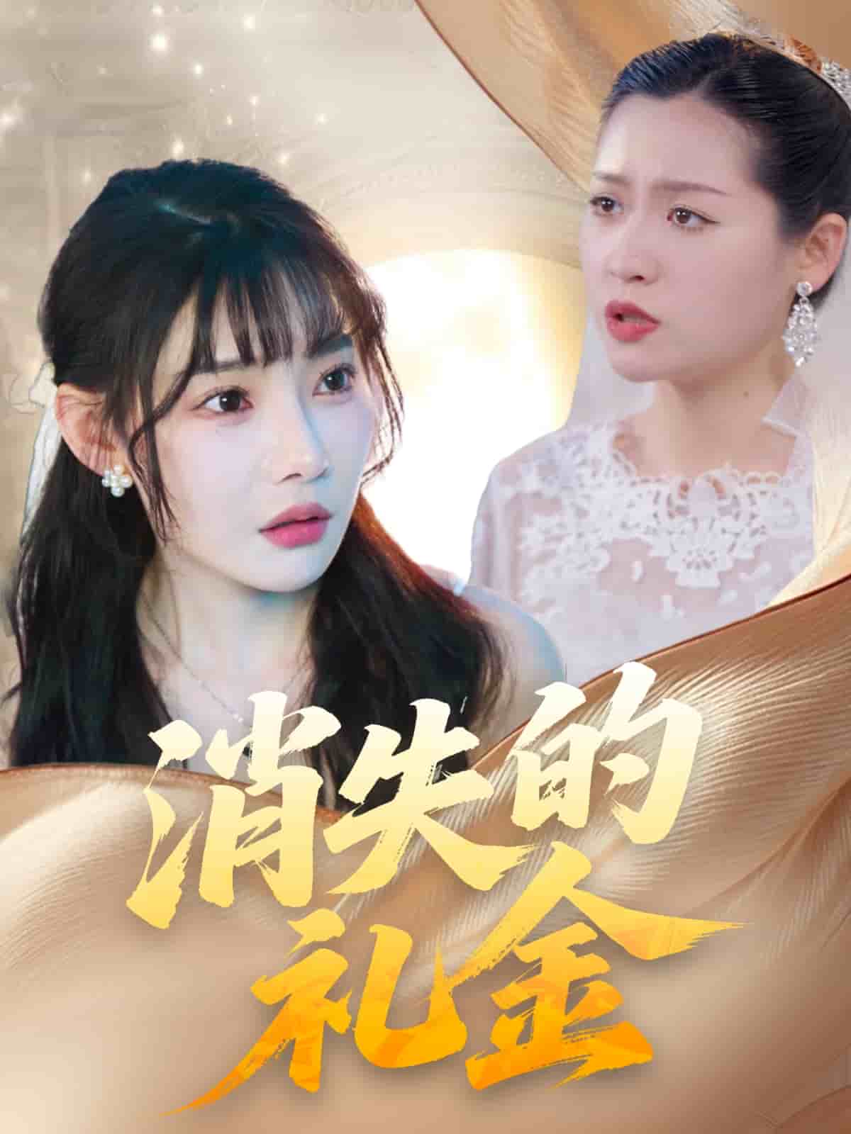 消失的礼金海报