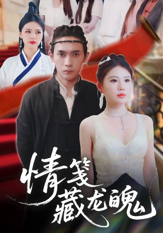 情笺藏龙魄海报