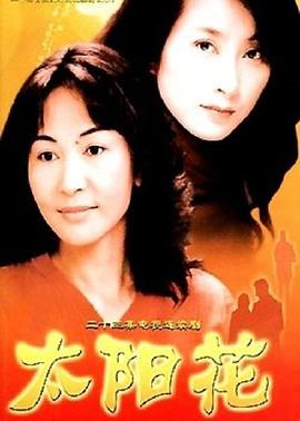 太阳花2004海报