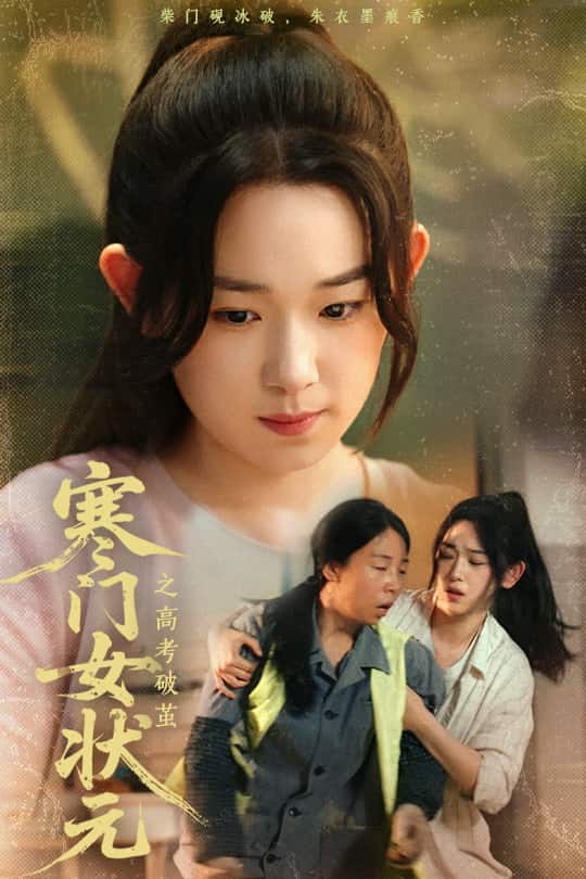 寒门女状元之高考破茧海报
