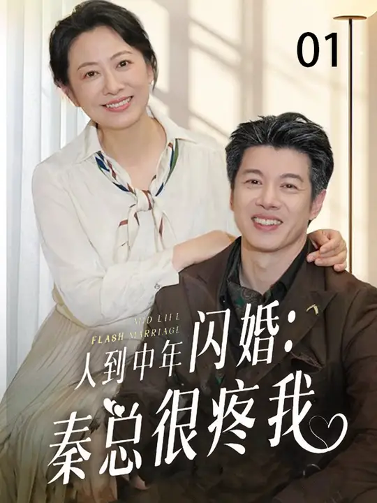 人到中年闪婚秦总很疼我海报