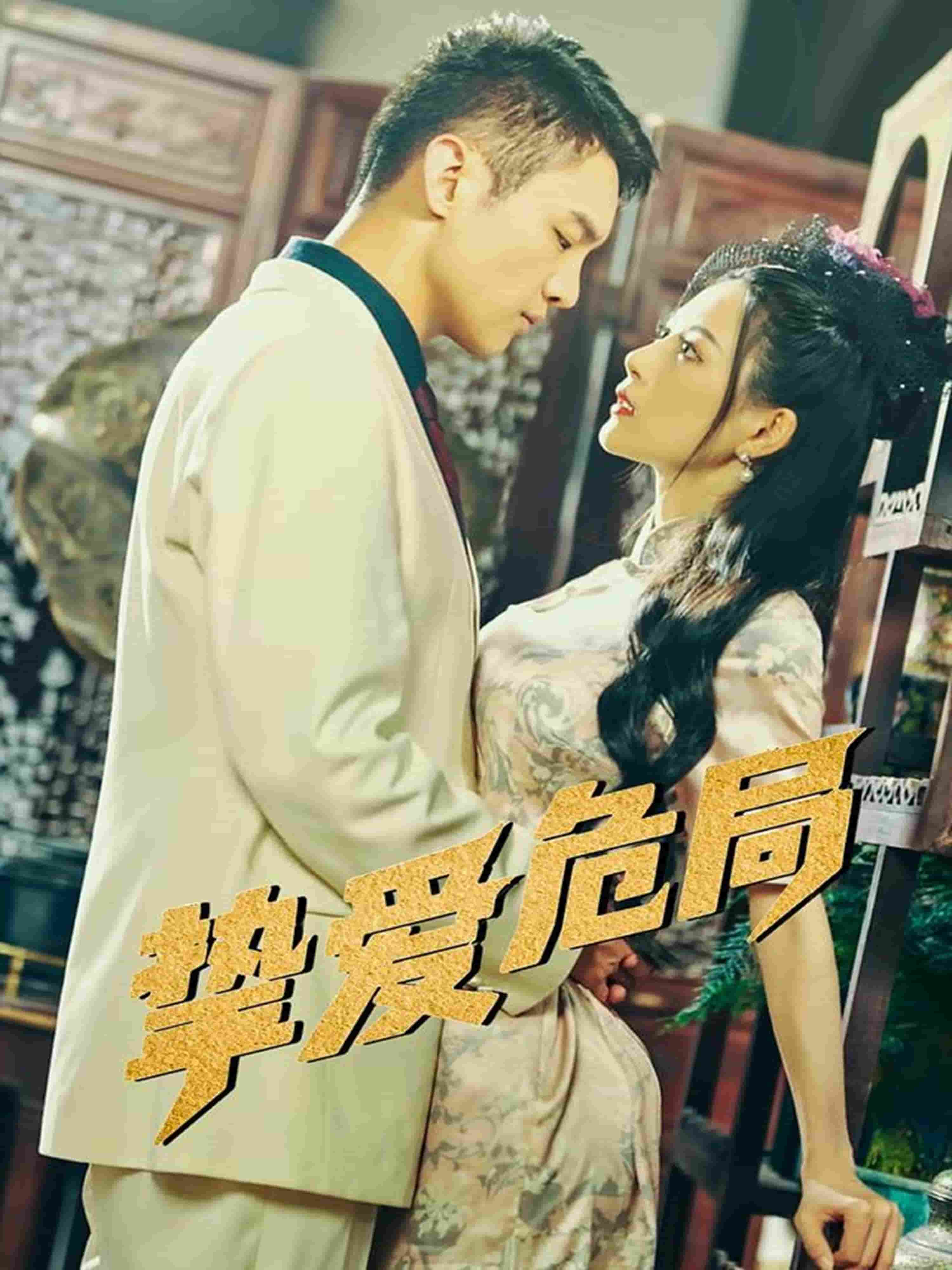 挚爱危局海报