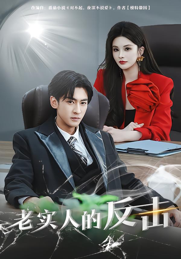 老实人的反击海报