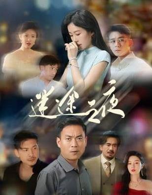 迷途之夜海报
