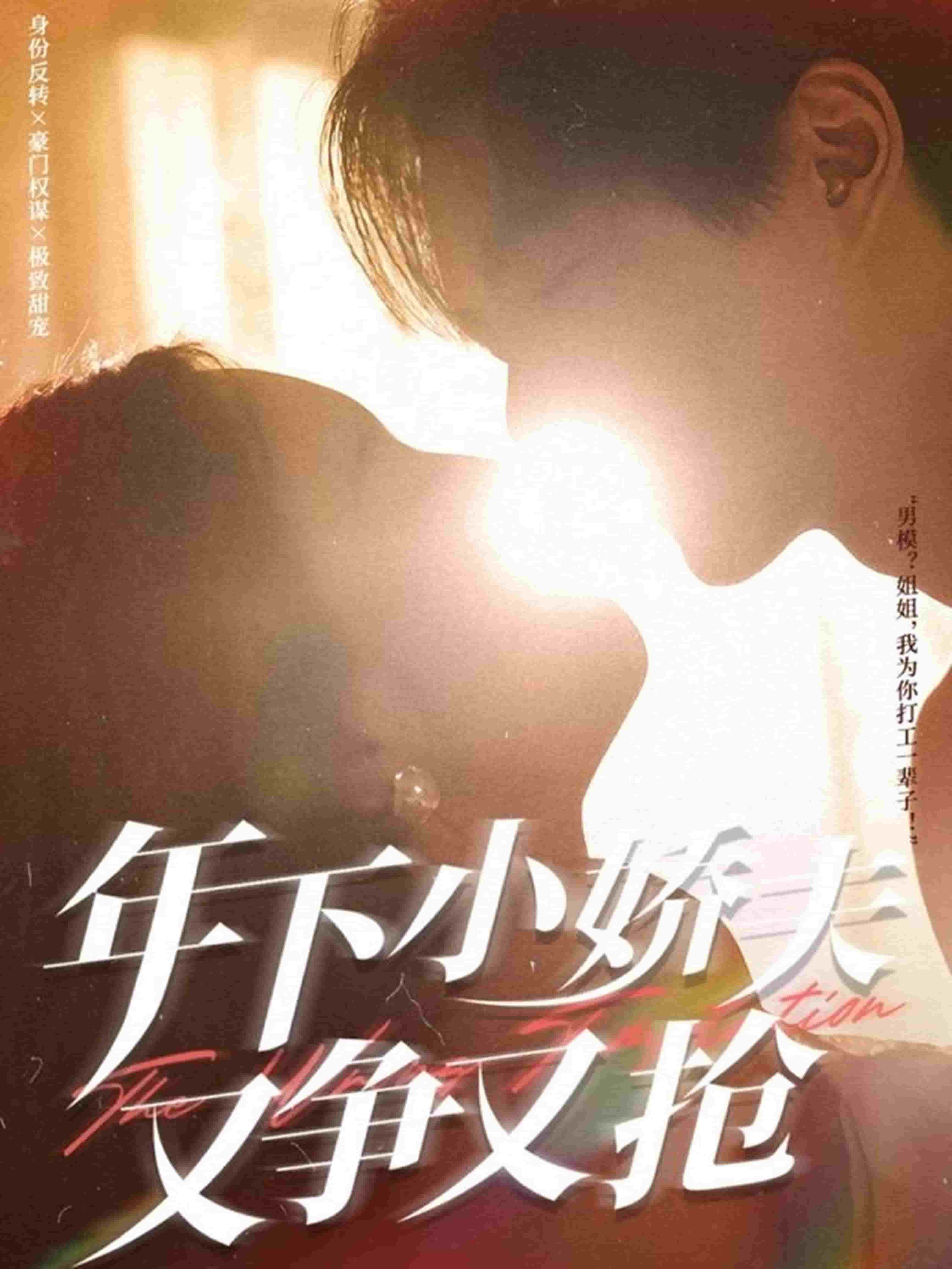 年下小娇夫又争又抢海报