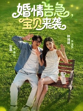 婚情告急，宝贝来袭海报