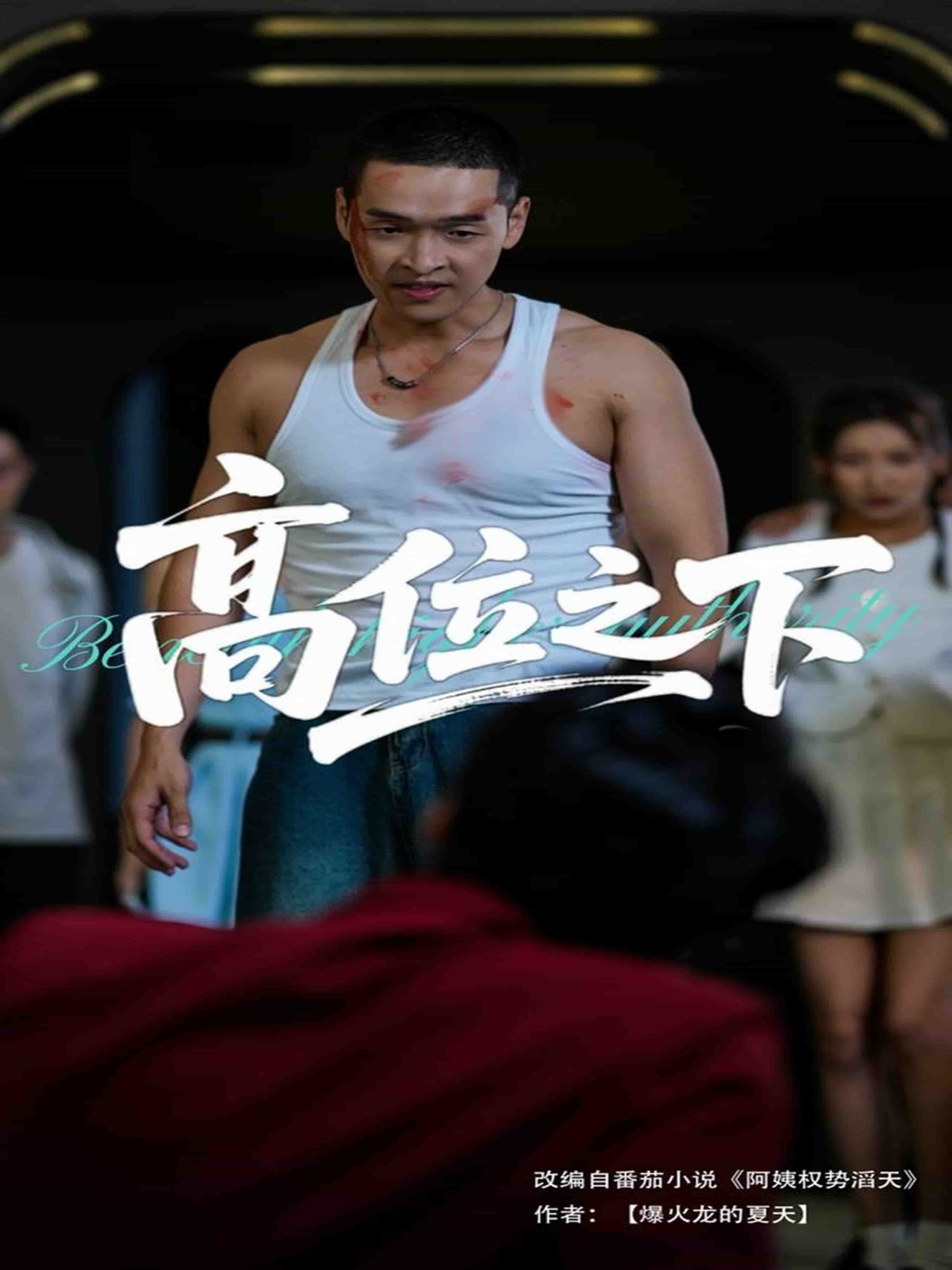 高位之下海报