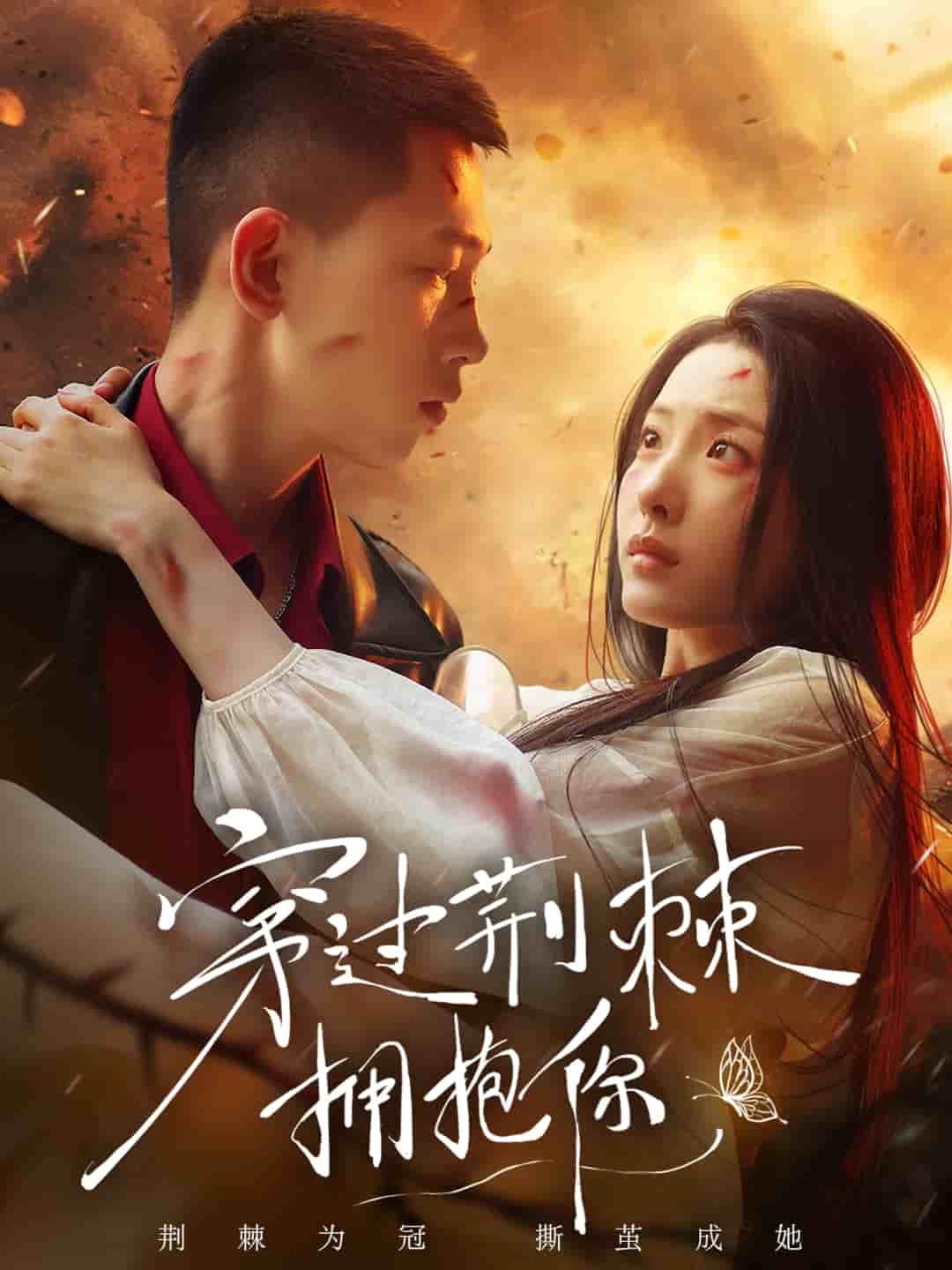 穿过荆棘拥抱你海报