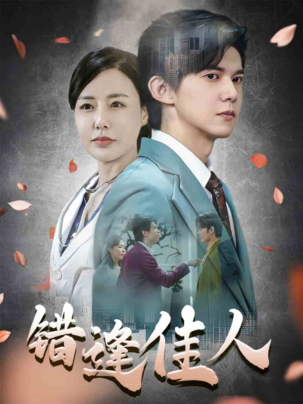 错逢佳人海报