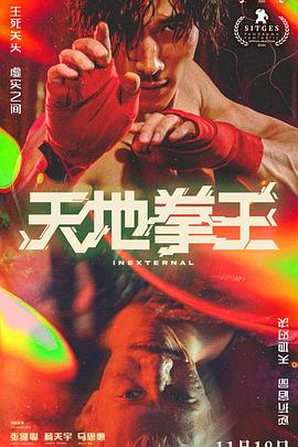 天地拳王粤语海报