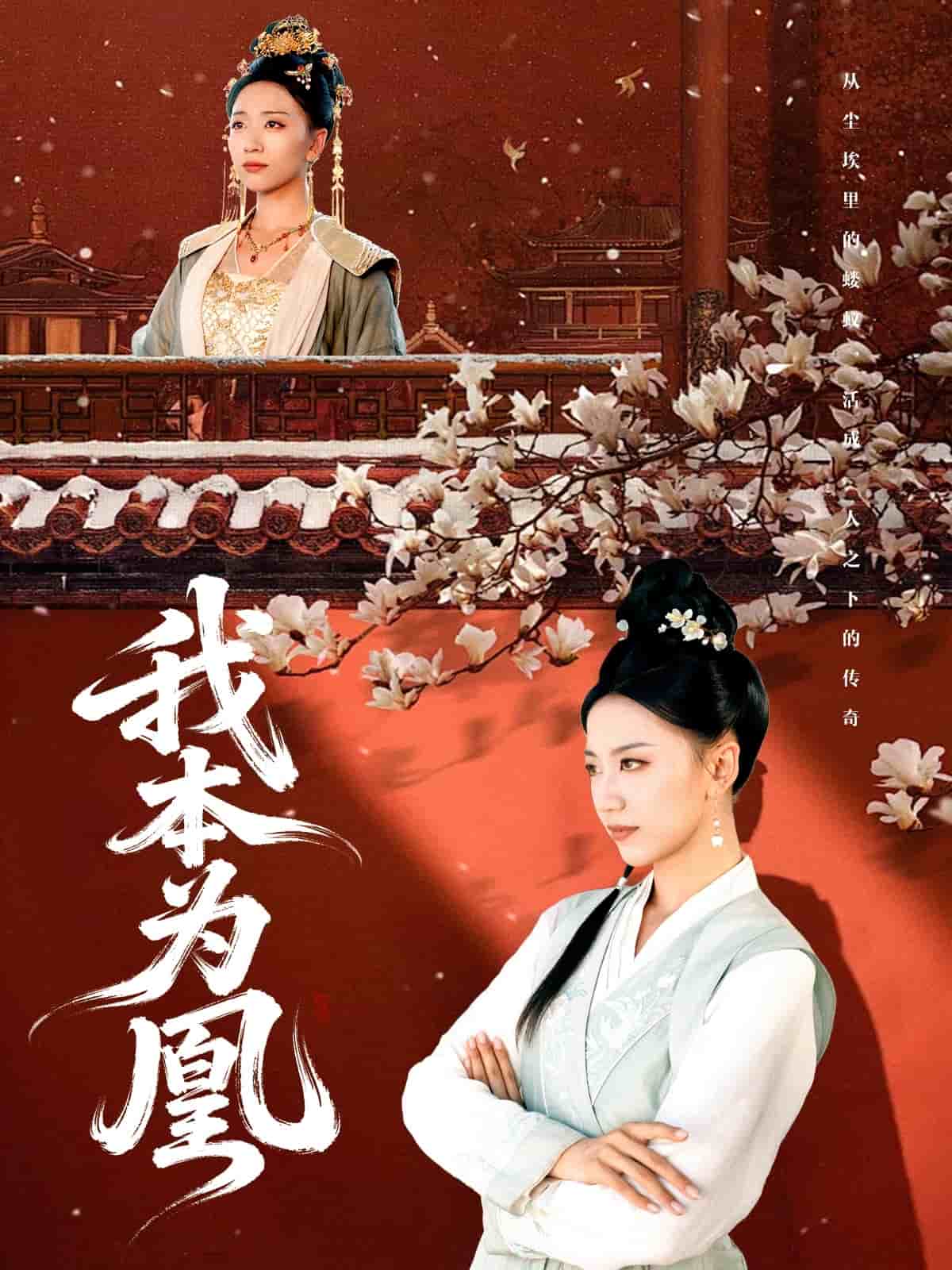 我本为凰海报