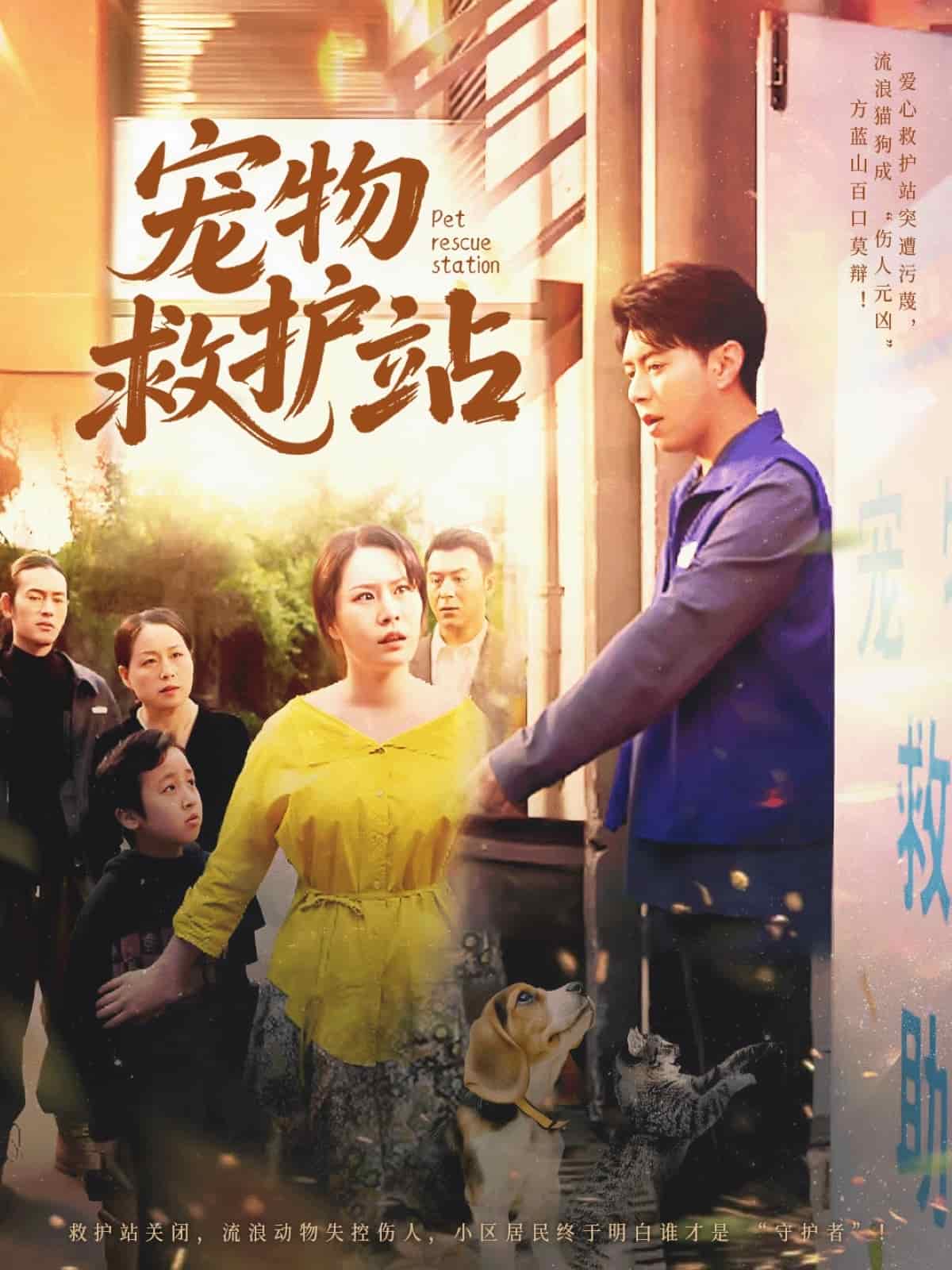 宠物救护站海报