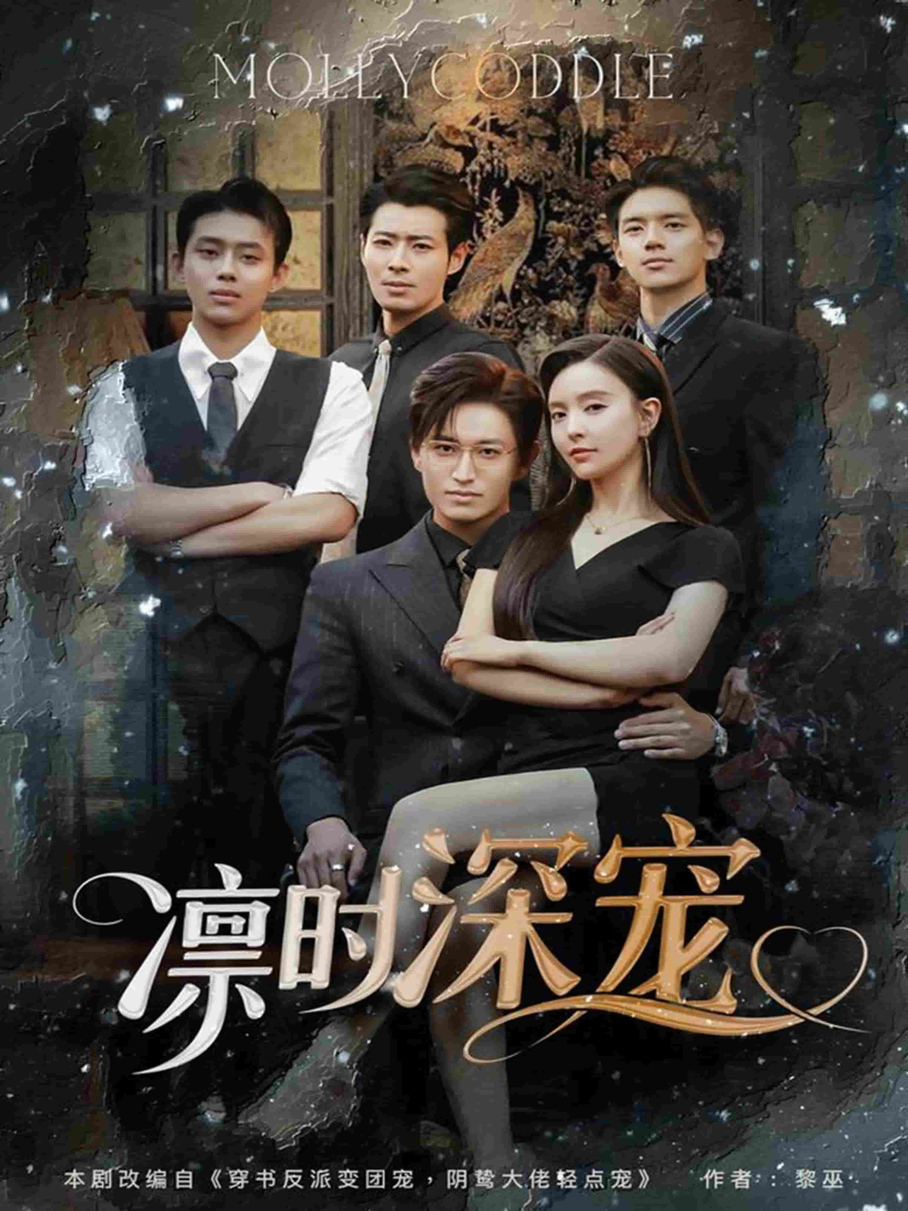 凛时深宠海报
