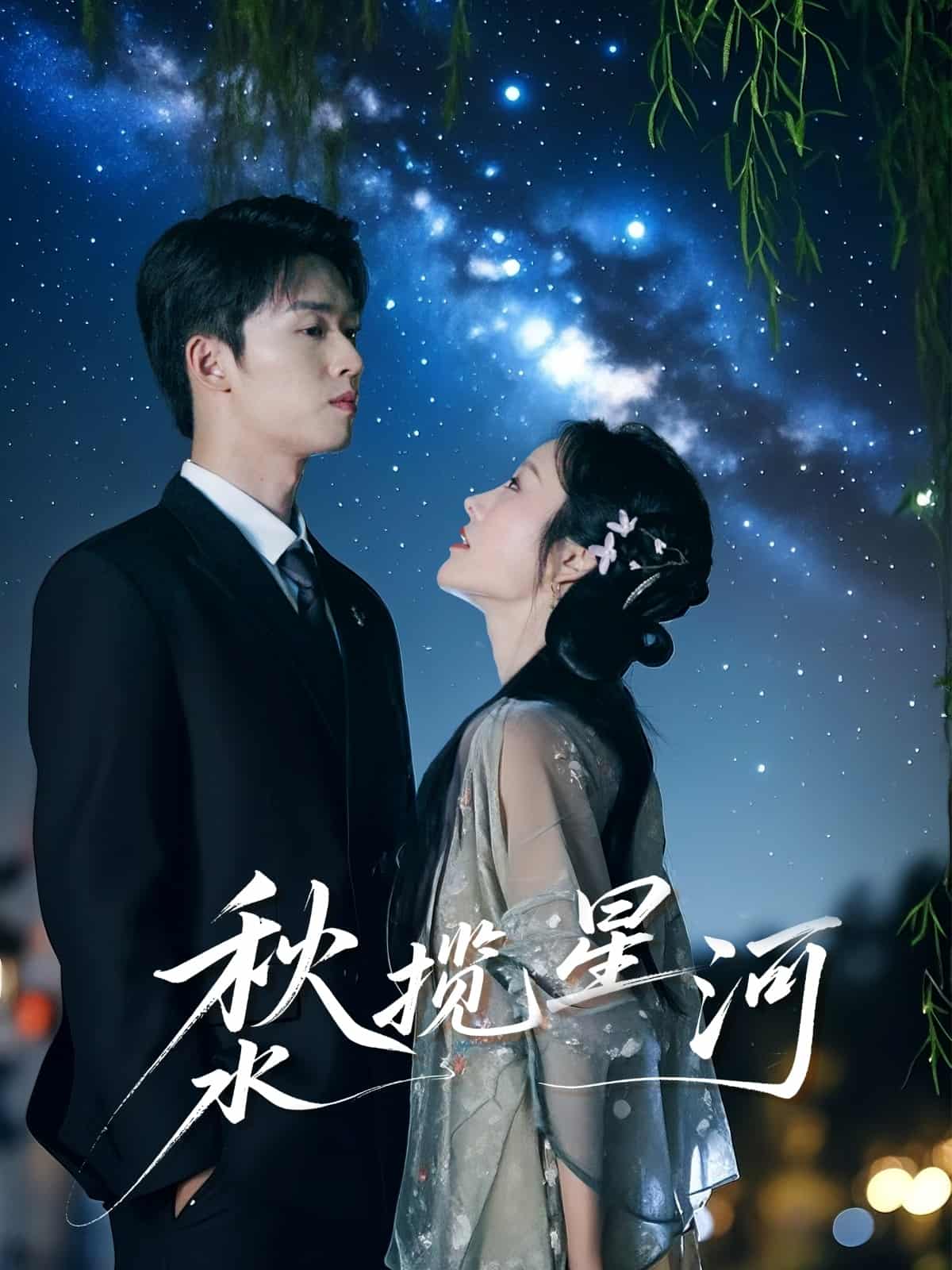 秋水揽星河海报