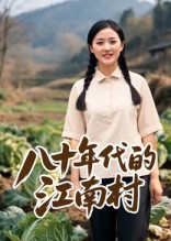 八十年代的江南村海报