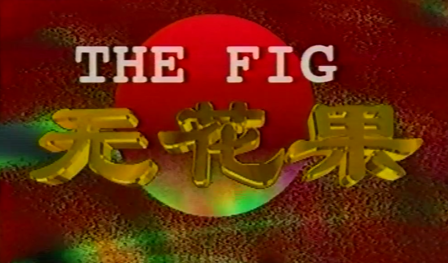 无花果1996海报