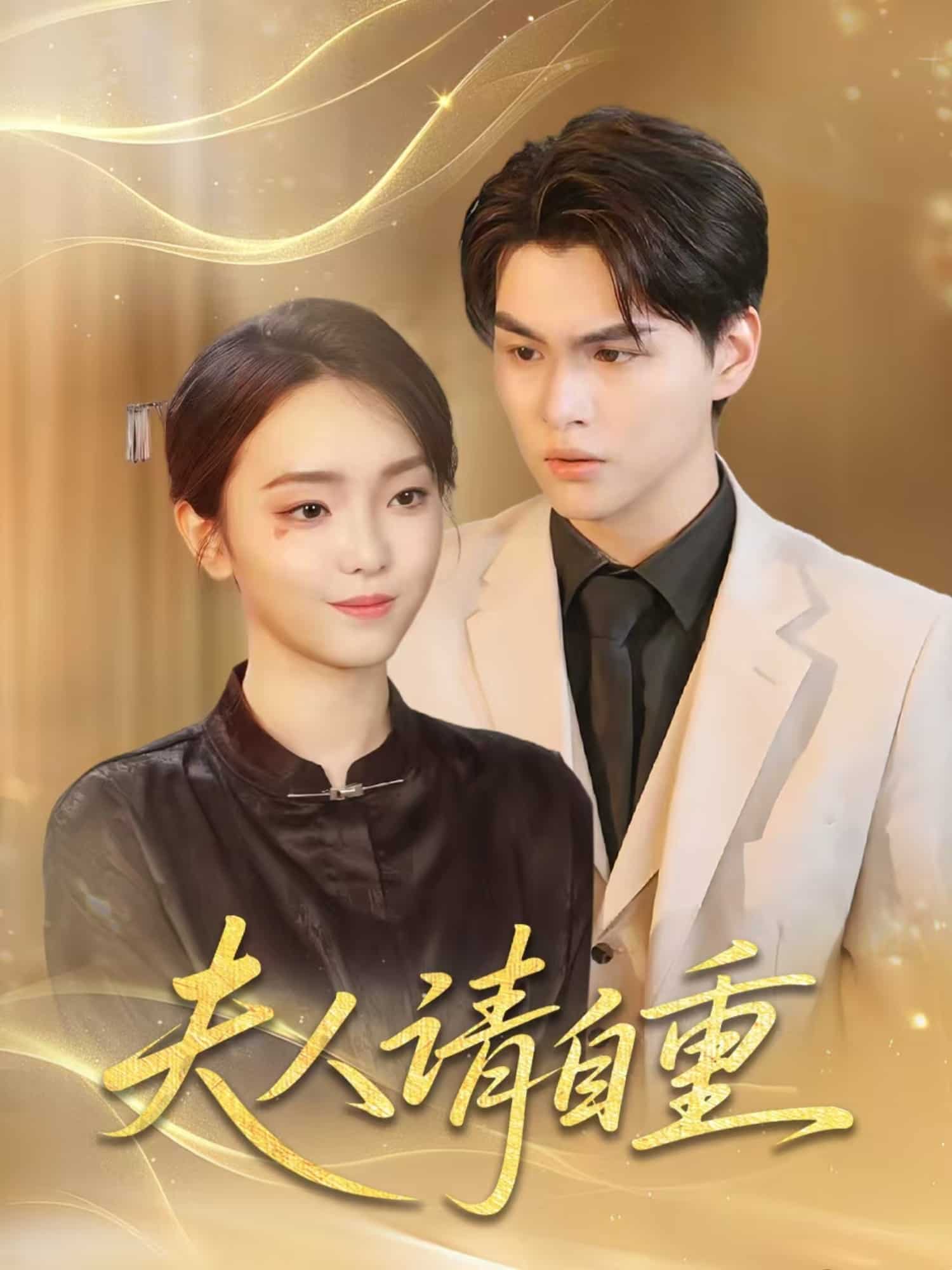 夫人请自重海报