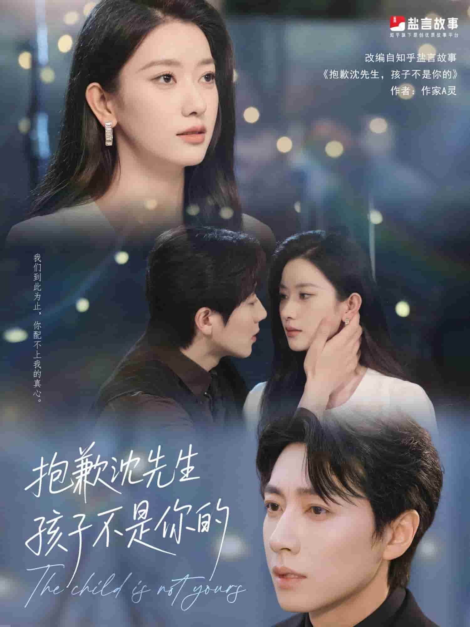 抱歉沈先生孩子不是你的海报