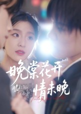 晚棠花开情未晚海报