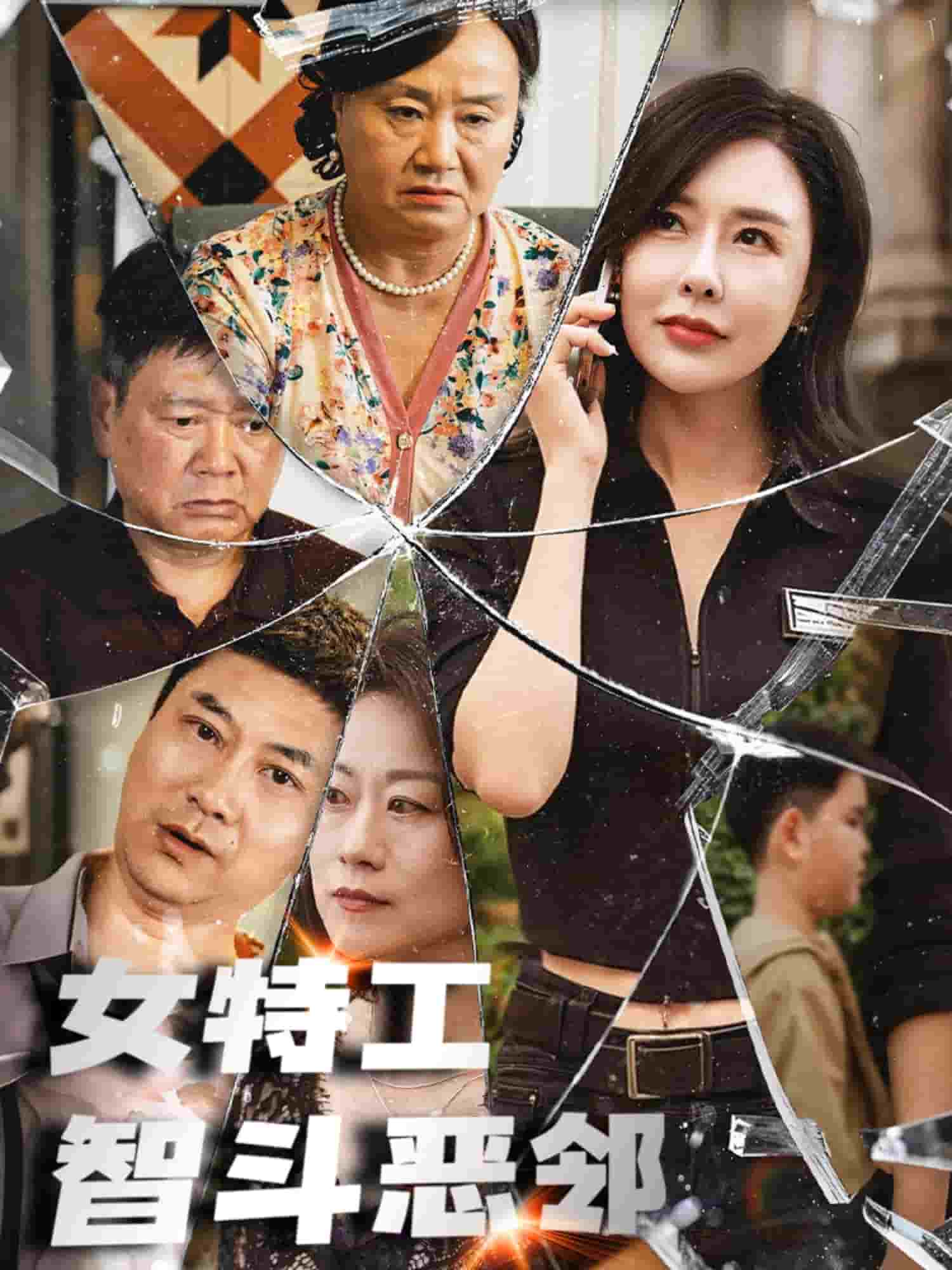 女特工智斗恶邻海报
