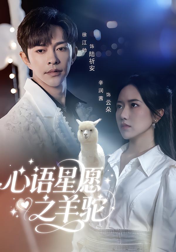 心语星愿之羊驼海报