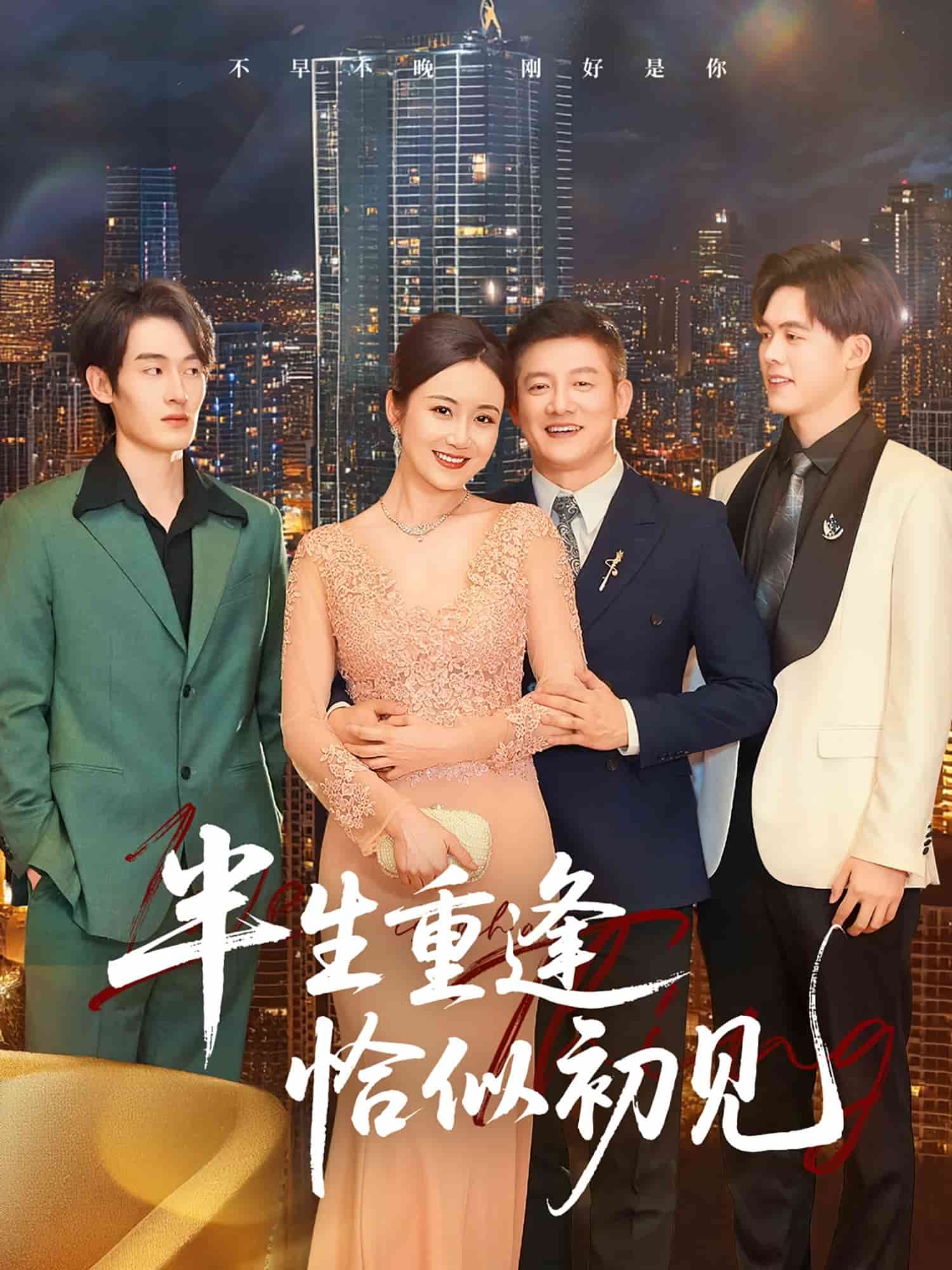 半生重逢恰似初见海报
