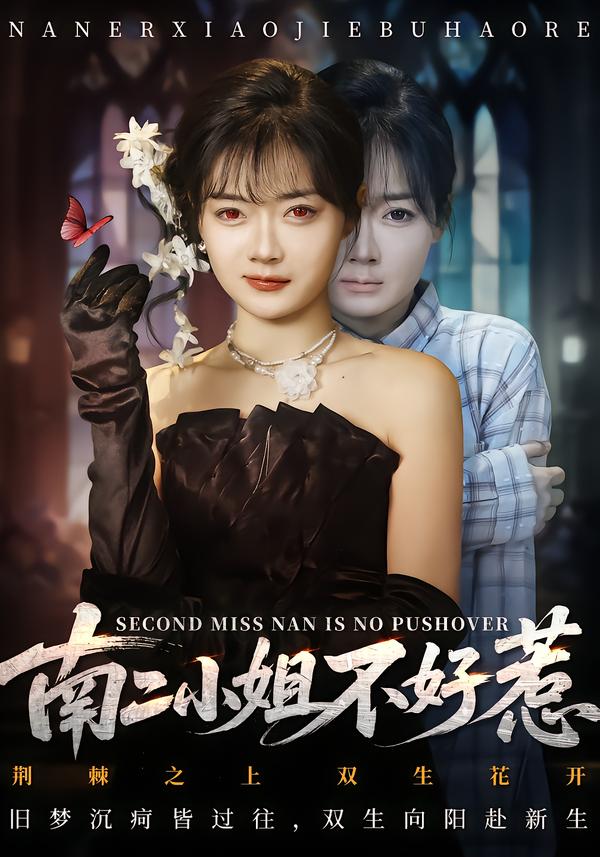 南二小姐不好惹海报
