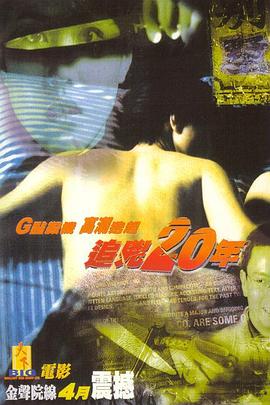 追凶20年粤语海报