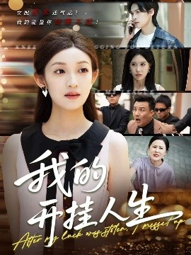 我的开挂人生海报