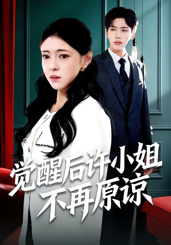 觉醒后许小姐不再原谅海报