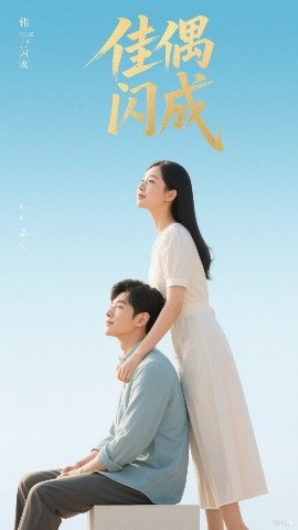 佳偶闪成&假婚真爱海报
