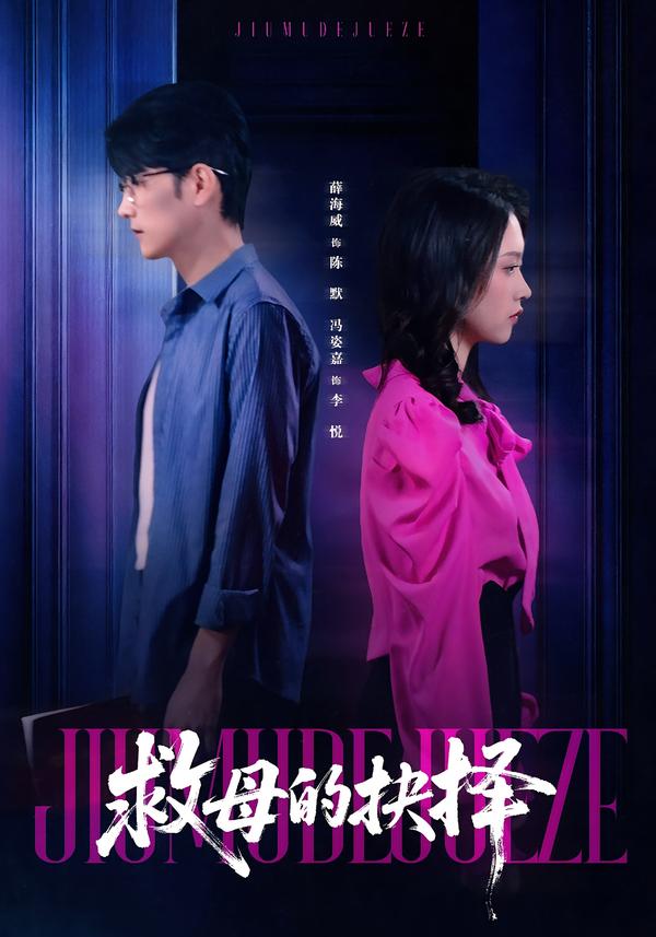 救母的抉择海报
