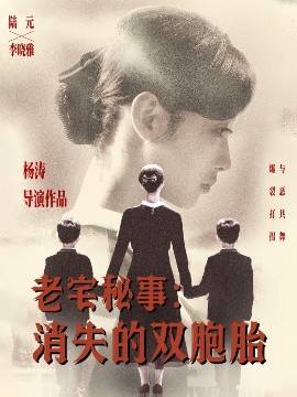 老宅秘事消失的双胞胎＆消失的孩子海报