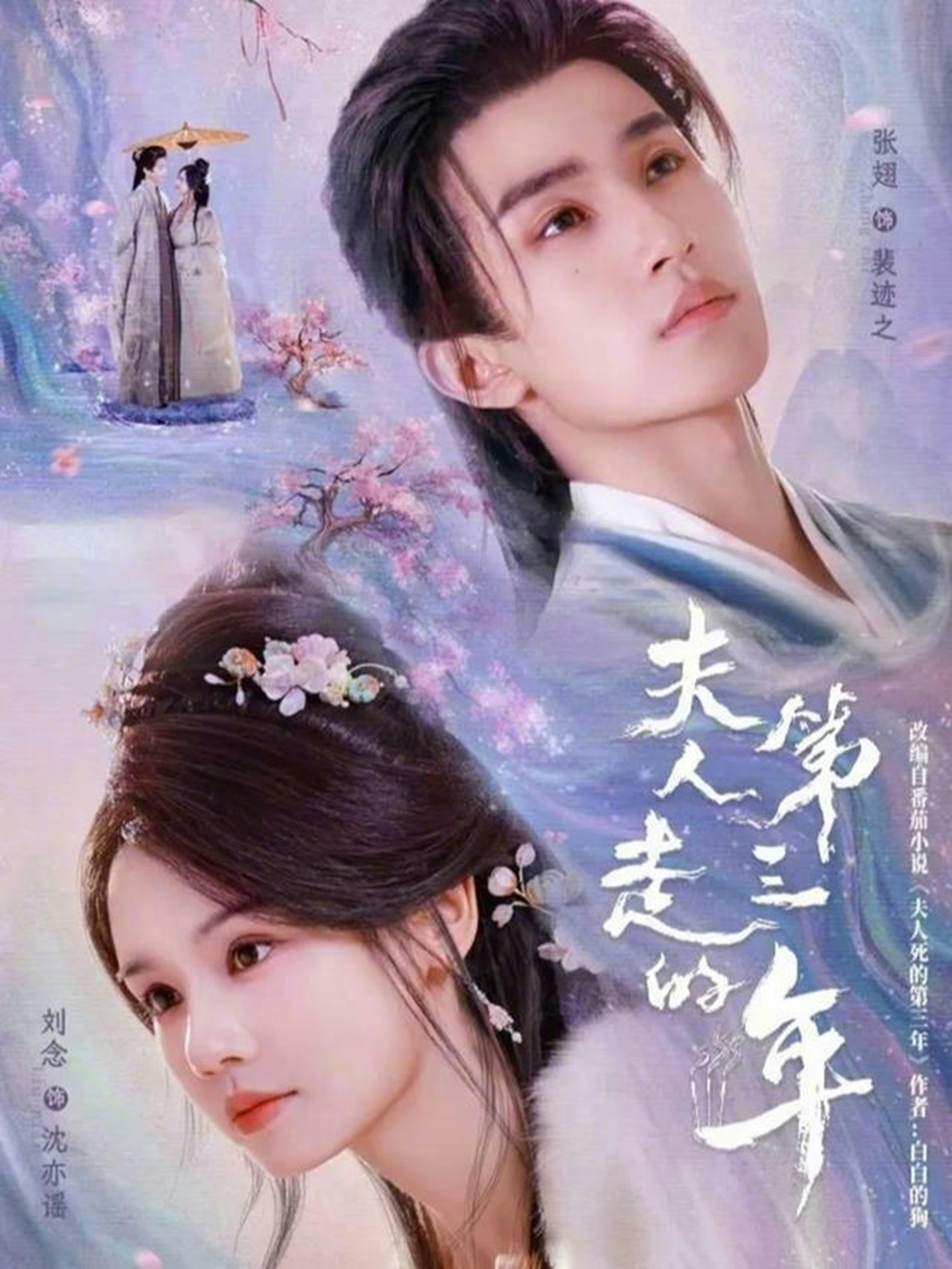 夫人走的第三年海报