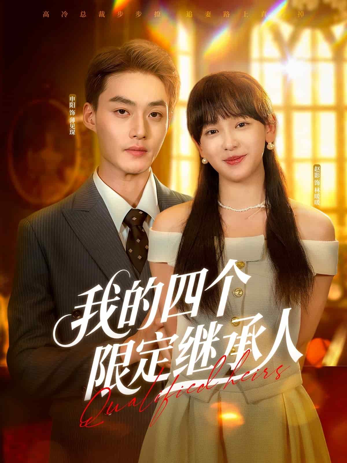 我的四个限定继承人海报