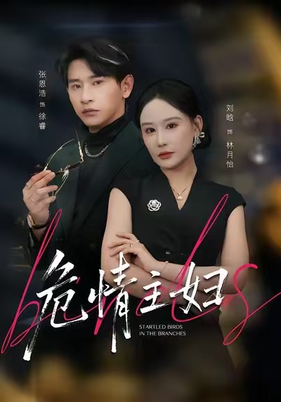危情主妇海报