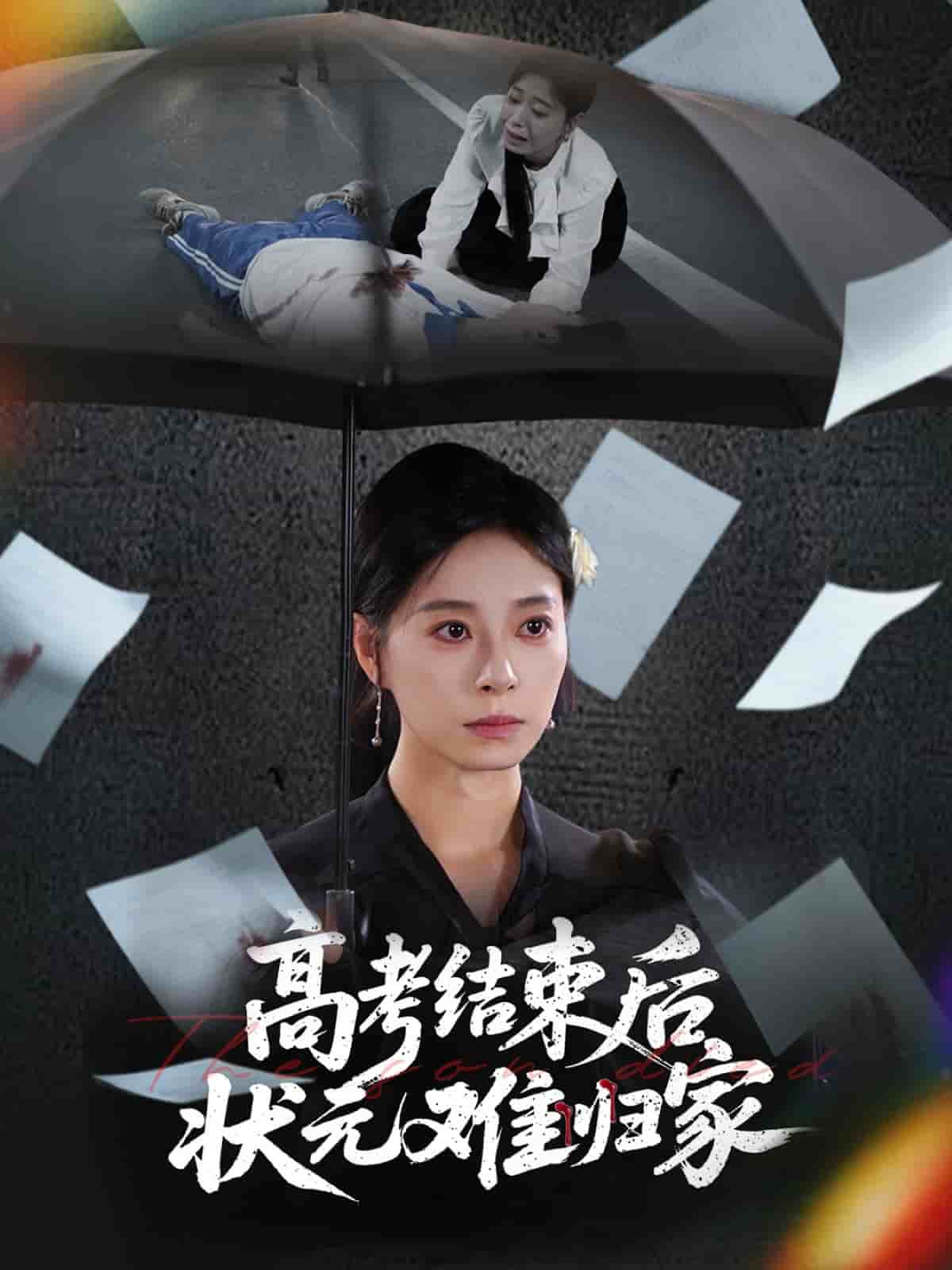 高考结束后状元难归家海报